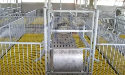 Xe đẩy cám - XD002