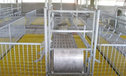 Inox được sử dụng phổ biến trong ngành công nghiệp chăn nuôi