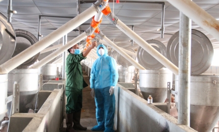 Ứng Dụng Của Sản Phẩm Inox Trong Sản Xuất Và Đời Sống Hiện Đại