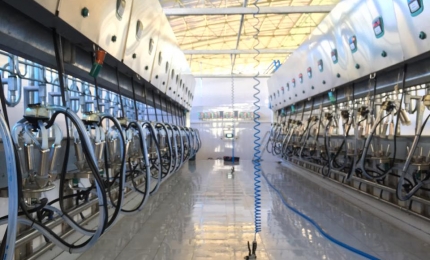 Công nghệ mới ứng dụng trong thiết bị chăn nuôi hiện đại