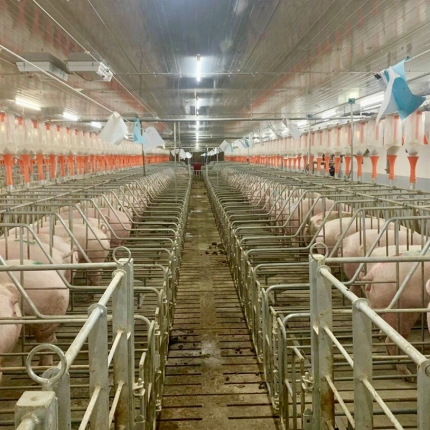 Gia công sản xuất thiết bị chăn nuôi hiện đại