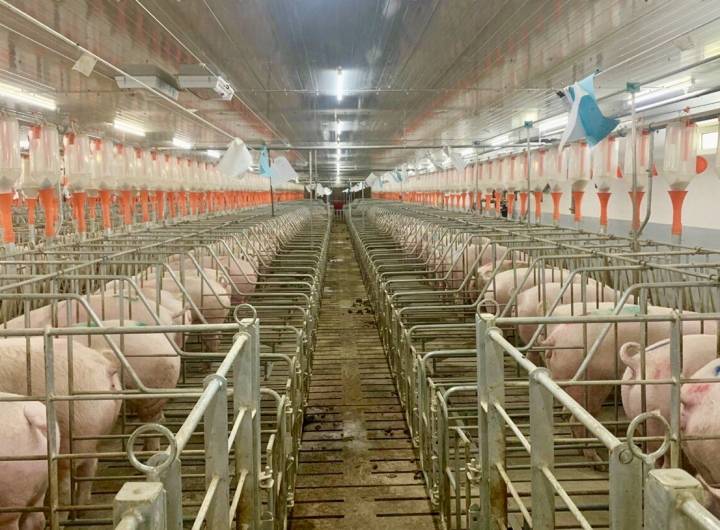 Giới Thiệu Về Thắng Cường Thịnh