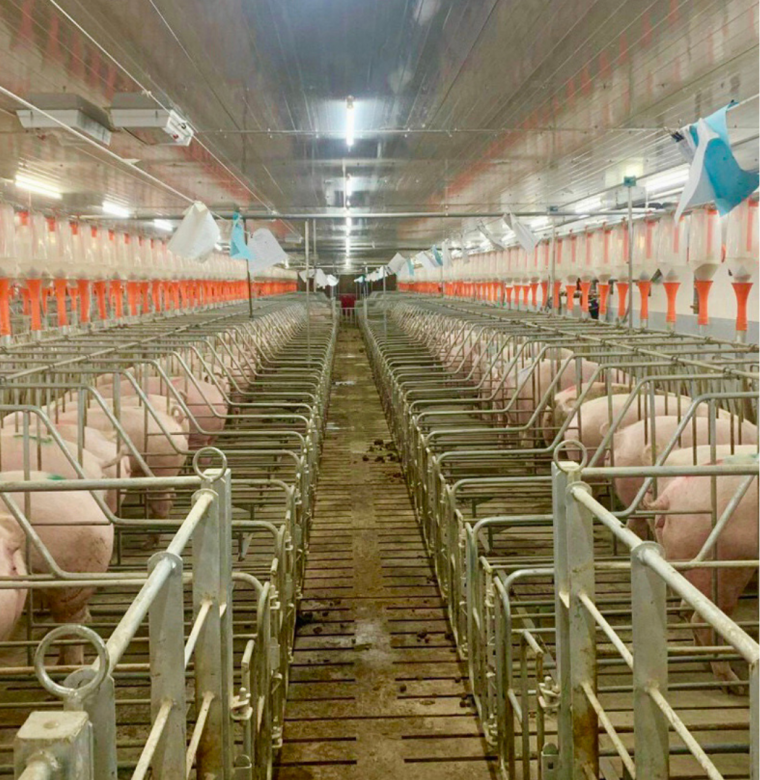 Đánh giá trang trại