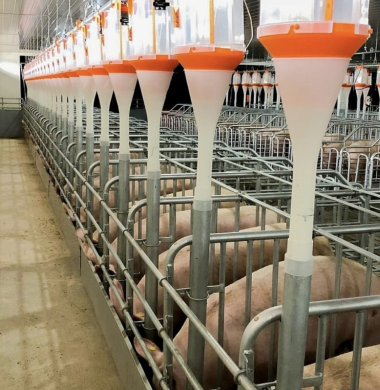 Banner đánh giá chuồng trại