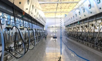 Công nghệ mới ứng dụng trong thiết bị chăn nuôi hiện đại